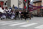 Gara delle Bighe 2011-7786